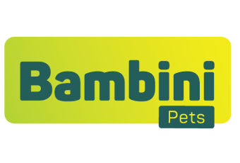 Bambini