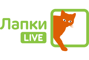 Телеканал «Лапки LIVE»